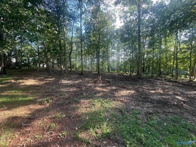 Golf course lot perfectly positioned along the 12th fairway of on Cherokee Ridge Country Club in Alabama - for sale on GolfHomes.com, golf home, golf lot