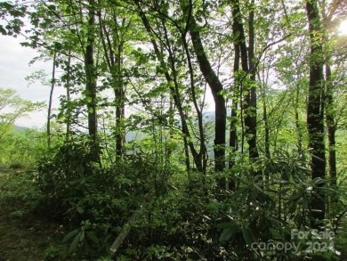 Mountain View is yours from this 1.43 Acre lot. Lot 5, Unit 5 of on Mt. Mitchell Golf Course in North Carolina - for sale on GolfHomes.com, golf home, golf lot