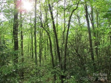 Mountain View is yours from this 1.43 Acre lot. Lot 5, Unit 5 of on Mt. Mitchell Golf Course in North Carolina - for sale on GolfHomes.com, golf home, golf lot