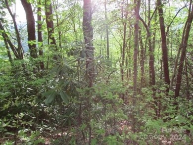 Mountain View is yours from this 1.43 Acre lot. Lot 5, Unit 5 of on Mt. Mitchell Golf Course in North Carolina - for sale on GolfHomes.com, golf home, golf lot