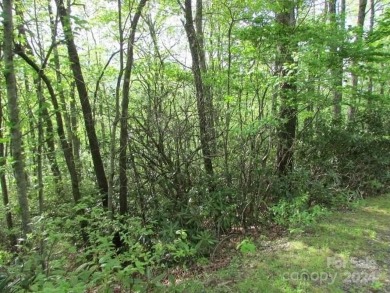 Mountain View is yours from this 1.43 Acre lot. Lot 5, Unit 5 of on Mt. Mitchell Golf Course in North Carolina - for sale on GolfHomes.com, golf home, golf lot