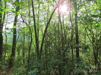 Mountain View is yours from this 1.43 Acre lot. Lot 5, Unit 5 of on Mt. Mitchell Golf Course in North Carolina - for sale on GolfHomes.com, golf home, golf lot