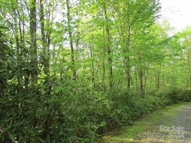Mountain View is yours from this 1.43 Acre lot. Lot 5, Unit 5 of on Mt. Mitchell Golf Course in North Carolina - for sale on GolfHomes.com, golf home, golf lot