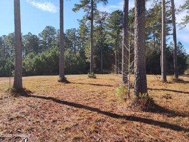 Create the home you've always envisioned in the heart of on Carolina Colours Golf Club in North Carolina - for sale on GolfHomes.com, golf home, golf lot