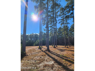 3004 Watercrest Loop lot: 16 on Carolina Colours Golf Club in North Carolina - for sale on GolfHomes.com, golf home, golf lot