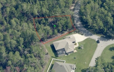 Looking to build your dream home?? Come check out this beautiful on Sugarmill Woods Golf and Country Club in Florida - for sale on GolfHomes.com, golf home, golf lot