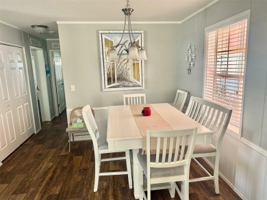 New Super Low Price!! Ready to Move In! Wow! Bonus Golf Cart on Mainlands Golf Club in Florida - for sale on GolfHomes.com, golf home, golf lot
