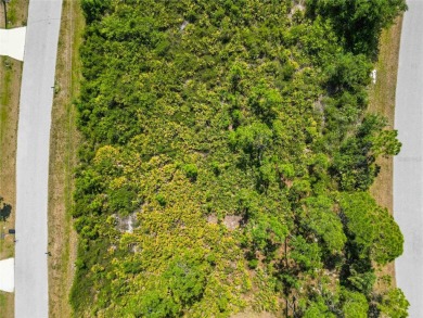 Permits and survey available! Tucked away in a serene on Duffys Golf Center in Florida - for sale on GolfHomes.com, golf home, golf lot