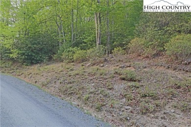 Easy Building Lot, close to Rec Center. Mature Trees, affords on Beech Mountain Club in North Carolina - for sale on GolfHomes.com, golf home, golf lot