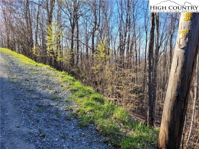 Buildable lot in quiet area with elevation at 4380' roadside on Beech Mountain Club in North Carolina - for sale on GolfHomes.com, golf home, golf lot
