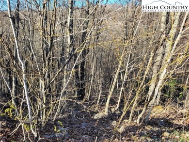 Buildable lot in quiet area with elevation at 4380' roadside on Beech Mountain Club in North Carolina - for sale on GolfHomes.com, golf home, golf lot