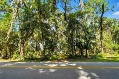 Expansive Marsh Views from this almost an acre lot in beautiful on The King and Prince Golf Course, Home of the Hampton Club in Georgia - for sale on GolfHomes.com, golf home, golf lot