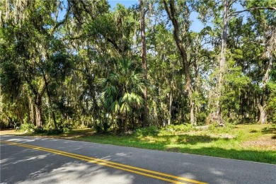Expansive Marsh Views from this almost an acre lot in beautiful on The King and Prince Golf Course, Home of the Hampton Club in Georgia - for sale on GolfHomes.com, golf home, golf lot
