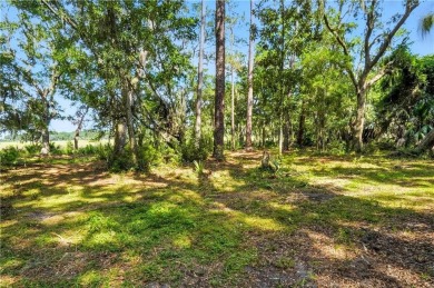 Expansive Marsh Views from this almost an acre lot in beautiful on The King and Prince Golf Course, Home of the Hampton Club in Georgia - for sale on GolfHomes.com, golf home, golf lot