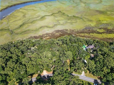 Expansive Marsh Views from this almost an acre lot in beautiful on The King and Prince Golf Course, Home of the Hampton Club in Georgia - for sale on GolfHomes.com, golf home, golf lot