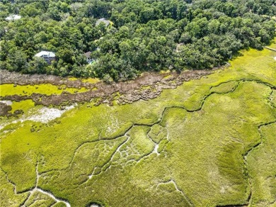 Expansive Marsh Views from this almost an acre lot in beautiful on The King and Prince Golf Course, Home of the Hampton Club in Georgia - for sale on GolfHomes.com, golf home, golf lot