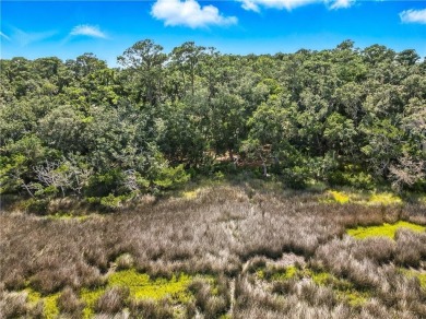 Expansive Marsh Views from this almost an acre lot in beautiful on The King and Prince Golf Course, Home of the Hampton Club in Georgia - for sale on GolfHomes.com, golf home, golf lot