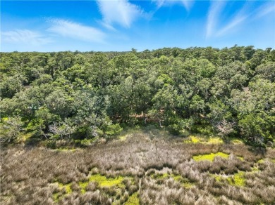 Expansive Marsh Views from this almost an acre lot in beautiful on The King and Prince Golf Course, Home of the Hampton Club in Georgia - for sale on GolfHomes.com, golf home, golf lot