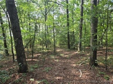 Hardwood trees and a gorgeous view! Build your dream home here on Woodlake Country Club in North Carolina - for sale on GolfHomes.com, golf home, golf lot