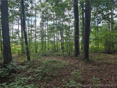 Hardwood trees and a gorgeous view! Build your dream home here on Woodlake Country Club in North Carolina - for sale on GolfHomes.com, golf home, golf lot