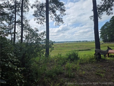 Hardwood trees and a gorgeous view! Build your dream home here on Woodlake Country Club in North Carolina - for sale on GolfHomes.com, golf home, golf lot