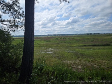 Hardwood trees and a gorgeous view! Build your dream home here on Woodlake Country Club in North Carolina - for sale on GolfHomes.com, golf home, golf lot