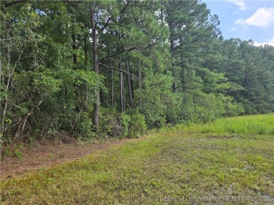 Hardwood trees and a gorgeous view! Build your dream home here on Woodlake Country Club in North Carolina - for sale on GolfHomes.com, golf home, golf lot