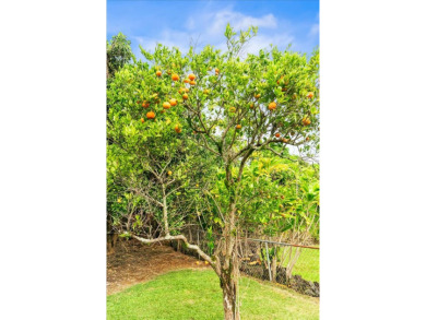 ***Huge Price Reduction!! *** Over 2,600+ living sqft for this on Hilo Municipal Golf Course in Hawaii - for sale on GolfHomes.com, golf home, golf lot