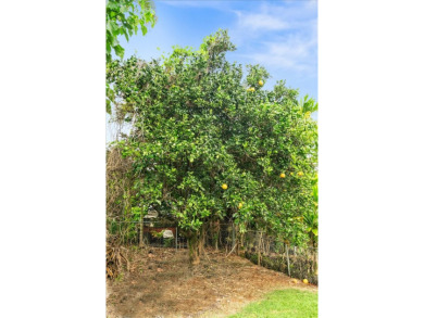 ***Huge Price Reduction!! *** Over 2,600+ living sqft for this on Hilo Municipal Golf Course in Hawaii - for sale on GolfHomes.com, golf home, golf lot