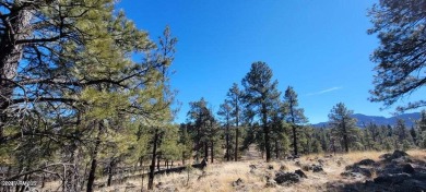 This heavily treed 4.17 acres of lot is located, south and west on Elephant Rocks at Williams in Arizona - for sale on GolfHomes.com, golf home, golf lot