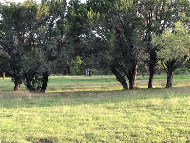 1.47 acres interior lot located in the front section after the on White Bluff Resort - Old Course in Texas - for sale on GolfHomes.com, golf home, golf lot