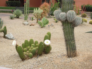 PRIME LOCATION - MAGNIFICENT VIEWS FROM EACH BALCONY - STONE on Stonecreek Golf Club in Arizona - for sale on GolfHomes.com, golf home, golf lot