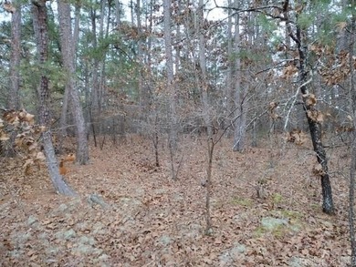 Nice flat building lot near the newly renovated Balboa golf on Balboa Golf Course in Arkansas - for sale on GolfHomes.com, golf home, golf lot