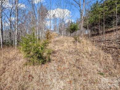 Discover the perfect setting for your dream home on this on Cummings Cove Golf and Country Club in North Carolina - for sale on GolfHomes.com, golf home, golf lot