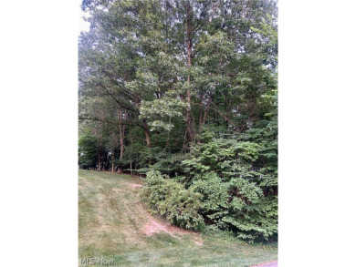 Beautiful building lot with seasonal lake views.  Great location on Lake Mohawk Golf Club in Ohio - for sale on GolfHomes.com, golf home, golf lot