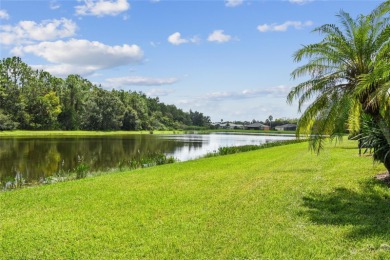 Experience breathtaking panoramic WATER VIEWS with a serene on Stonegate Golf Club in Florida - for sale on GolfHomes.com, golf home, golf lot