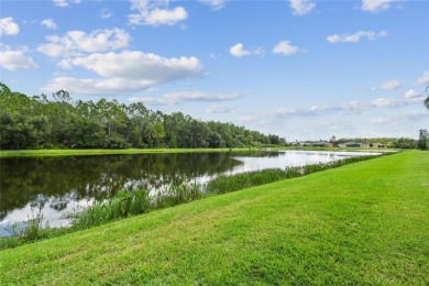 Experience breathtaking panoramic WATER VIEWS with a serene on Stonegate Golf Club in Florida - for sale on GolfHomes.com, golf home, golf lot