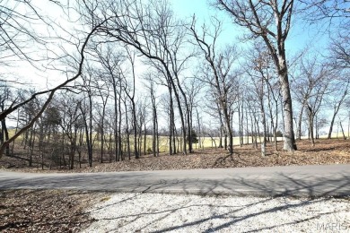 Welcome to this stylish, long time family-owned lakefront chalet on Innsbrook Resort Golf Course in Missouri - for sale on GolfHomes.com, golf home, golf lot