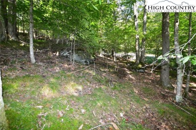 Rare opportunity to purchase 3/4 of an acre with these two on Beech Mountain Club in North Carolina - for sale on GolfHomes.com, golf home, golf lot
