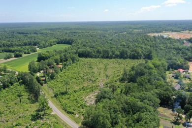 WOW!!! Calling All Developers or Anyone Looking for Coastal on Crown Park Golf Club in South Carolina - for sale on GolfHomes.com, golf home, golf lot
