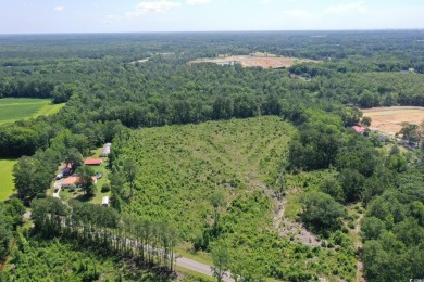 WOW!!! Calling All Developers or Anyone Looking for Coastal on Crown Park Golf Club in South Carolina - for sale on GolfHomes.com, golf home, golf lot