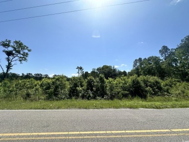 WOW!!! Calling All Developers or Anyone Looking for Coastal on Crown Park Golf Club in South Carolina - for sale on GolfHomes.com, golf home, golf lot