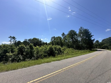 WOW!!! Calling All Developers or Anyone Looking for Coastal on Crown Park Golf Club in South Carolina - for sale on GolfHomes.com, golf home, golf lot