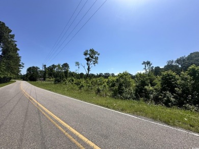 WOW!!! Calling All Developers or Anyone Looking for Coastal on Crown Park Golf Club in South Carolina - for sale on GolfHomes.com, golf home, golf lot