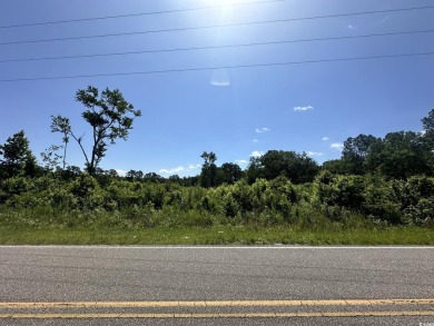 WOW!!! Calling All Developers or Anyone Looking for Coastal on Crown Park Golf Club in South Carolina - for sale on GolfHomes.com, golf home, golf lot
