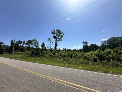 WOW!!! Calling All Developers or Anyone Looking for Coastal on Crown Park Golf Club in South Carolina - for sale on GolfHomes.com, golf home, golf lot