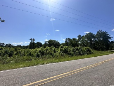 WOW!!! Calling All Developers or Anyone Looking for Coastal on Crown Park Golf Club in South Carolina - for sale on GolfHomes.com, golf home, golf lot