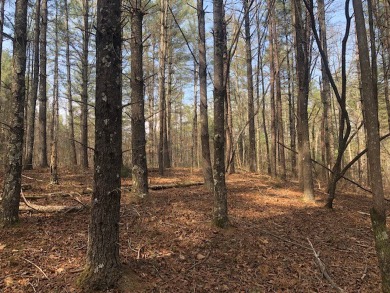 Large corner lot located in the Vineyard Park Section of The on The Cliffs At Keowee Vineyards Golf Club in South Carolina - for sale on GolfHomes.com, golf home, golf lot