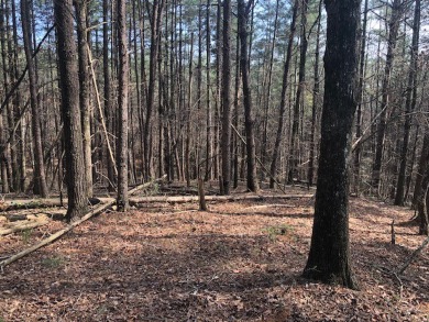 Large corner lot located in the Vineyard Park Section of The on The Cliffs At Keowee Vineyards Golf Club in South Carolina - for sale on GolfHomes.com, golf home, golf lot