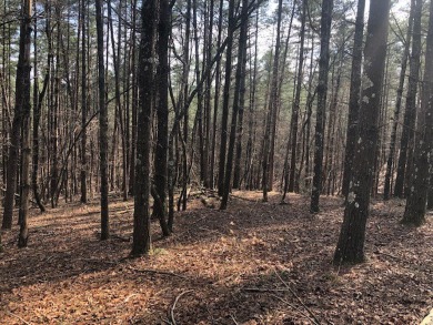 Large corner lot located in the Vineyard Park Section of The on The Cliffs At Keowee Vineyards Golf Club in South Carolina - for sale on GolfHomes.com, golf home, golf lot